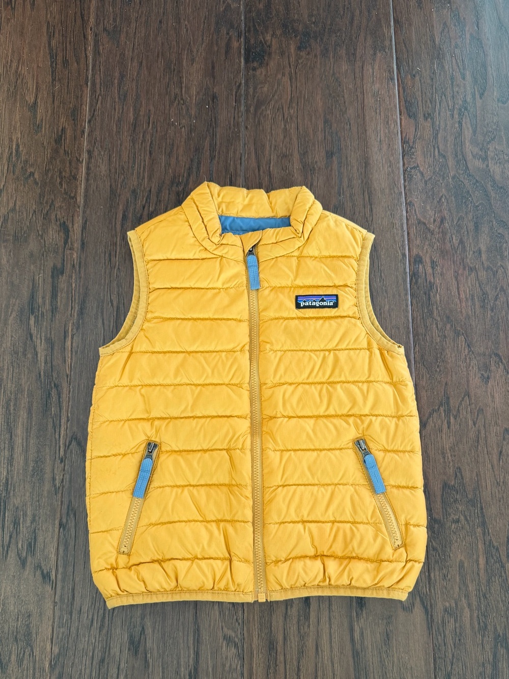 Patagonia vest